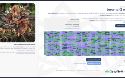Biotech company – MyFloraDNA – launches DNA profiling to identify and validate cannabis strains